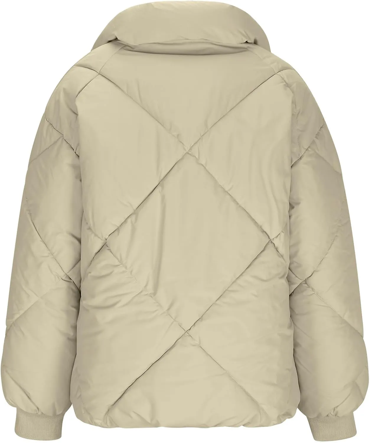 Borniu Womens Winter Quilted Jackets Long Sleeve Full Zip Puffer Jacket Stand Collar Baggy Short Down Coats Outerwear
